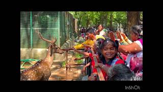 EDUCATIONAL TRIP VANDALUR ZOO  KV PATSHALA INTERNATIONAL CBSE SCHOOL [upl. by Aihtebat]