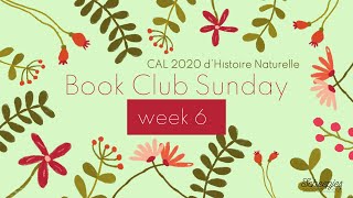 Scheepjes CAL 2020  dHistoire Naturelle  Book Club Sunday  Week 6 [upl. by Ridley765]