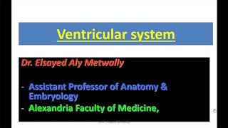 Anatomy  Ventricular System DrElsayed Metwally [upl. by Resneps]