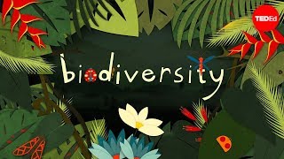 Why is biodiversity so important  Kim Preshoff [upl. by Lucrece]