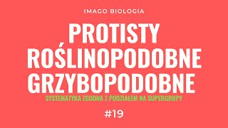 Protisty roślinopodobne i grzybopodobne wraz z ich systematyką [upl. by Zetneuq]