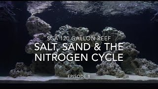 SCA 120 Gallon Reef Tank  Ep8  Salt Sand amp The Nitrogen Cycle ALMOST done [upl. by Peterus]