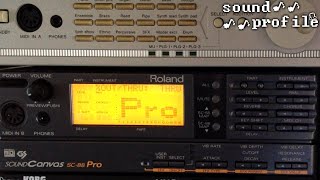 Roland SC88 Pro A Classic Desktop Synth  Sound Profile [upl. by Boggers836]