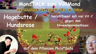 MondTalk zum Vollmond  Im Gespräch mit Nana Mara auf dem PflanzenPhiloSofa  Hagebutte Hundsrose [upl. by Farhsa216]