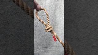 Over hand loop knot loopknot how shorts trending [upl. by Still]