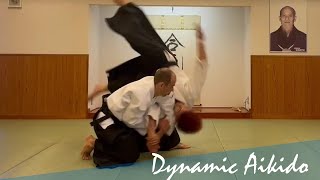 Dynamic Aikido  Basics amp Kokyu Variations [upl. by Kaiulani188]