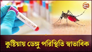 অন্যান্য জেলার তুলনায় কুষ্টিয়ায় ডেঙ্গু পরিস্থিতি স্বাভাবিক  Dengue Fever  Channel 24 [upl. by Beka]