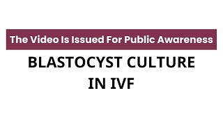 Blastocyst Culture in IVF Benefits and Drawbacks know it from 𝐃𝐫 𝐒𝐮𝐩𝐚𝐫𝐧𝐚 𝐁𝐚𝐧𝐞𝐫𝐣𝐞𝐞 [upl. by Rhoda]