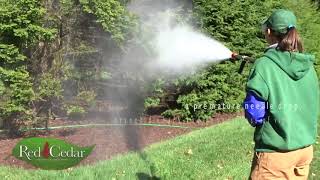 Horticultural Oil Spraying [upl. by Ardnuahs]