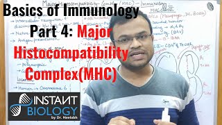 Basics of Immunology Part 4 Major Histocompatibility Complex MHC [upl. by Bennir]