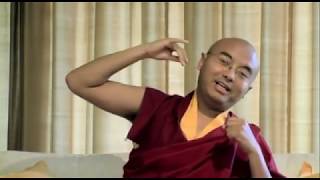 What Meditation Really Is  Mingyur Rinpoche [upl. by Candie]