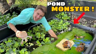 SAVING my POND MONSTERS from WINTER FREEZE [upl. by Zebadiah]