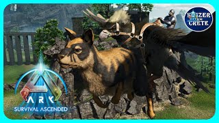 ASA Procoptodon Update  ARK Survival Ascended [upl. by Zerep703]