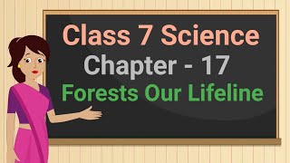 Class 7 Science Chapter 17 Forests Our Lifeline full chapter cbse ncert [upl. by Acemaj]