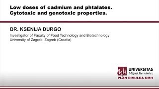 LOW DOSES OF CADMIUM AND PHTALATES  CYTOTOXIC AND GENOTOXIC PROPERTIES [upl. by Syman]