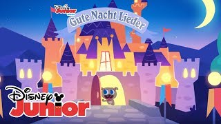 Gute Nacht Lieder Mein bester Freund 😍  Disney Junior Musik [upl. by Genia]