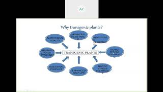 Transgenic Plants Biotic and Abiotic Stress Tolerance CLASS XIIB BIOTECH [upl. by Aneehsak]