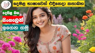 අපි දෙමළ කතා කරමු  මූලික පාඩම්  Lets Speak Tamil  Basic to Advanced Lessonsquot  Punchi Danuma [upl. by Nylrak581]