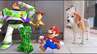 Animations in REAL LIFE vs Funny Dogs 🥳  Mario  Toy Story and More [upl. by Junna]