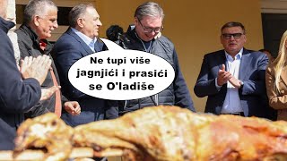 Mile izneo prasiće u Pambukovici 😄 [upl. by Areid]