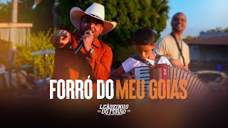 Leãozinho do Forró  Forró do Meu Goiás  Vídeo Oficial [upl. by Demodena]