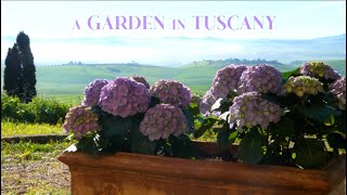 RENOVATING A RUIN The Joy of Hard Work amp Family in a Garden in Tuscany Italy Ep 55 [upl. by Atinahs]