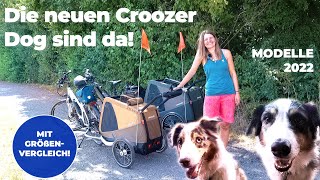 Test Hundeanhänger Croozer Dog Enna und Croozer Dog Mikke [upl. by Cicily]