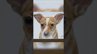 How to Turn Your Pet’s Portrait into Timeless Art  Custom Framing [upl. by Neira]