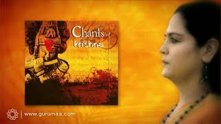 Shri Krishan Govind Hare Murare Hey Nath Narayan Vasudeva  Shri Krishna Chants by Gurumaa [upl. by Tuckie]