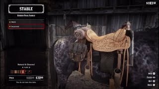 Red Dead Redemption 2 Pony Up Locked and Loaded amp Valentines Doctor side business [upl. by Slavic110]