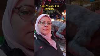 Tour Night velenzia mall istanbul youtbeshort shortvideo ytshorts zstravellingvlog [upl. by Annayi]