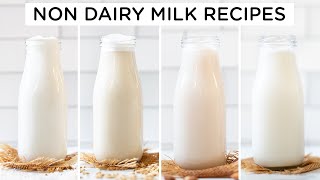 How to Make Non Dairy Milk ‣‣ 4 amazing ways [upl. by Romie]