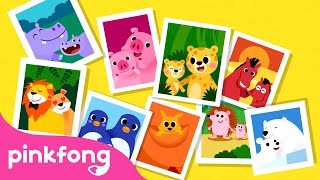 Animal Families  Animal Songs  Learn Animals  Pinkfong Animal Songs for Children [upl. by Alyekahs139]