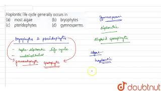 Haplontic life cycle generatlly occurs in [upl. by Engamrahc937]