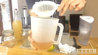 Making Water Kefir The Easy Way  Day 2 [upl. by Kirred852]