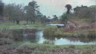 Bradgate ParkCharnwood ForestLeicestershire26thJanuary2011EnglandHD [upl. by Salazar798]