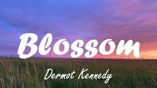 Dermot Kennedy  Blossom lyrics [upl. by Liberati656]