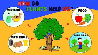 Use of Plants for Kids  How are plants important to us  How Plants help us  Uses of Plants [upl. by Stelle516]