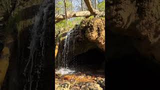 The Grotto at Glen Helen Nature Preserve [upl. by Aliab]