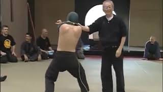 Hatsumi Masaaki Sensei Taijutsu amp Hojojutsu [upl. by Esau198]