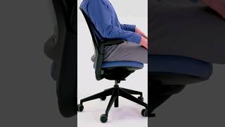 Steelcase Series 1 Most Comfortable Chair  Best Office Chair [upl. by Regor386]