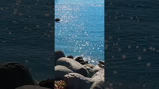 Sparkling water at English Bay nature ocean water beautiful [upl. by Lakim761]