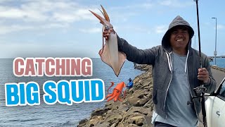 Going to Portland Breakwater for Fishing  We Caught Big Squid [upl. by Macmillan534]