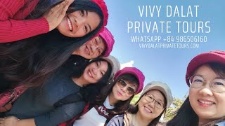 Vivy Dalat Private Tours customize your trip easy prompt and effective [upl. by Liddie]