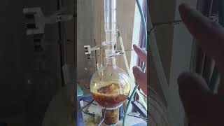 Simple distillation to preparation rose water shortvideo [upl. by Analram275]