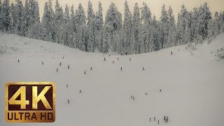 4K Winter Ski Resort Video with Soothing Music for Relaxation  Summit at Snoqualmie USA [upl. by Grant422]