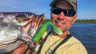 Lambasting spring speckled trout next to a HUGE alligator [upl. by Eniluqcaj952]