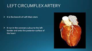 HEART ANATOMY I LEFT ANTERIOR DESCENDING ARTERY I LEFT CIRCUMFLEX ARTERY I RIGHT CORONARY ARTERY [upl. by Wavell]