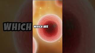 How Does the Immune System Work  A Quick Overview immunesystem science shorts [upl. by Daffie]