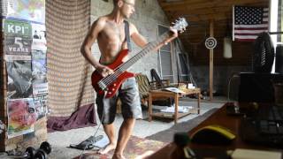 AMATORY  Осколки bassguitar fan playing [upl. by Tzong41]